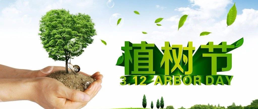 植樹(shù)節(jié) | 每一顆樹(shù)，都是用心種下的希望